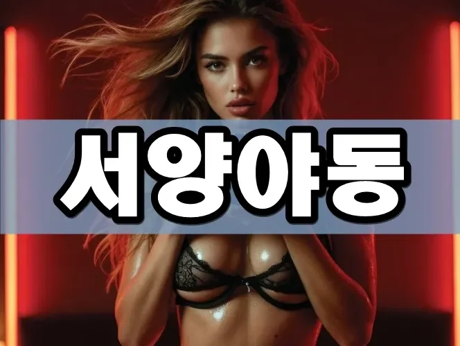 서양야동